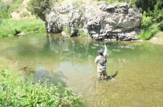 stream creek montana fly fishing guided trip adventure