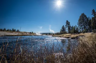 yellowstone national park guided trip fly fishing