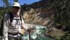 Fly Fishing the Yellowstone River in Yellowstone National Park