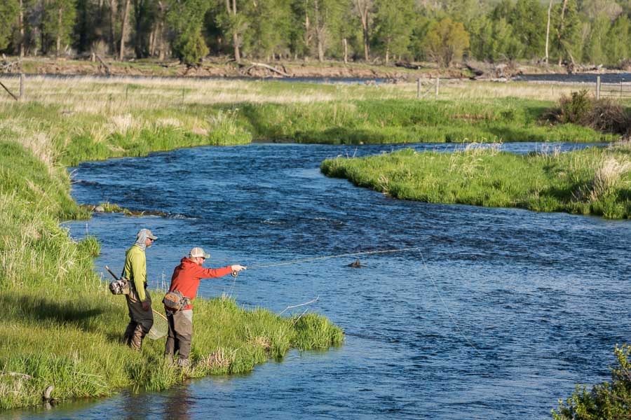Elimination drag will lead to higher catch rates on the Spring Creeks