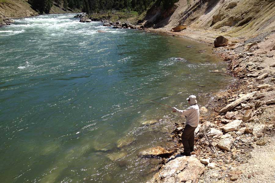 Hooked up on the Stone Montana Angler Wade Fishing Trips