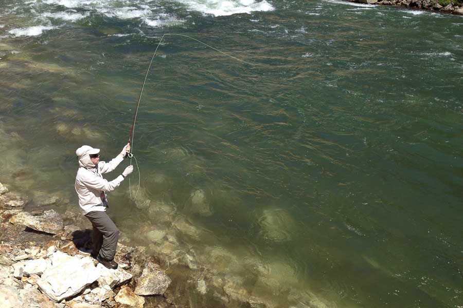 Fishing the Black Canyon Yellowstone Park Fly Fishing, Montana Angler