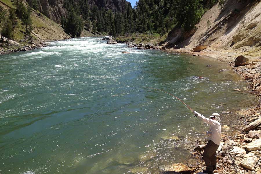 Fighting a Fish on the Stone Fly Fishing Yellowstone National Park in July