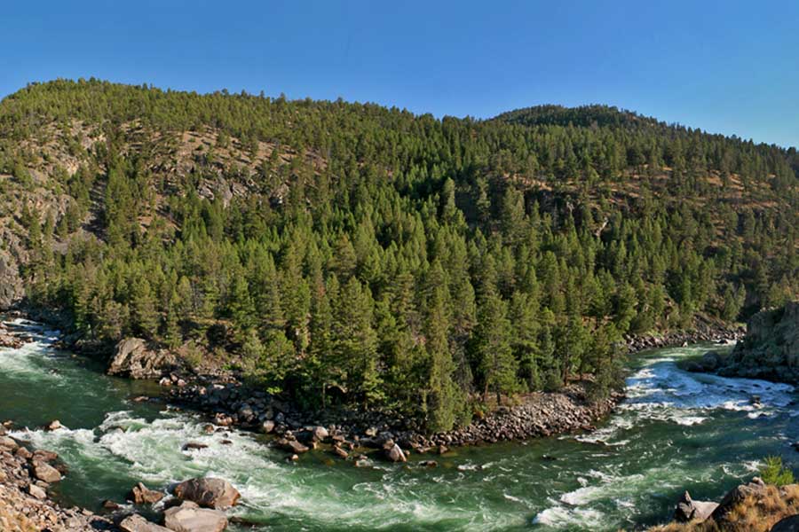 Yellowstone River Backcountry Yellowstone River Fly Fishing Guides