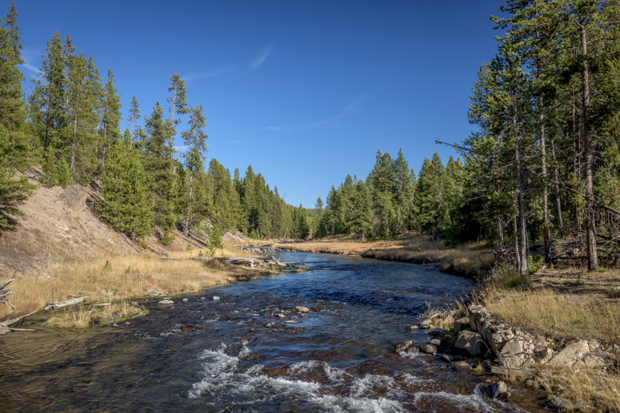 Gibbon River Canyon The Gibbon River is an excellent trout fishery in Yellowstone National Park