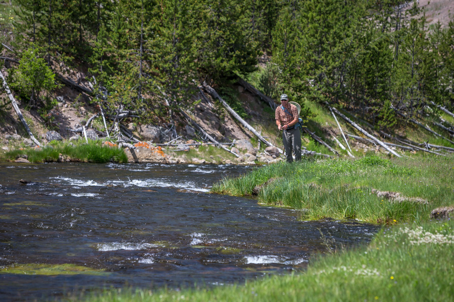 Gibbon River Montana Angler offers guided fishing in Yellowstone National Park