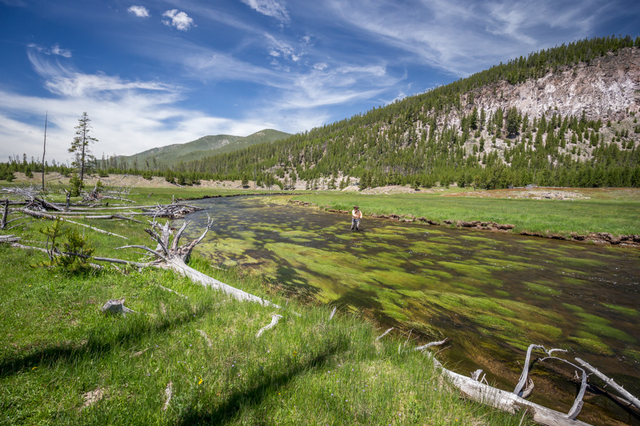 Gibbon River Scenery Montana Angler Fly Fishing Wade Trips in Yellowstone National Park