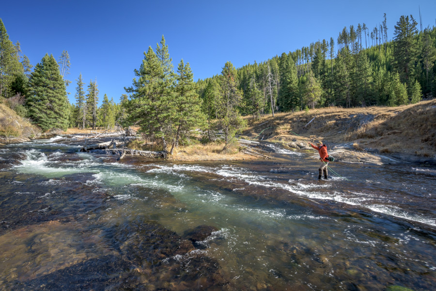 Gibbon Canyon Scenery Fly Fishing the Gibbon Canyon in Yellowstone National Park
