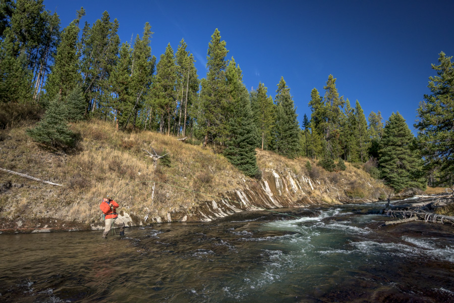 Gibbon Canyon Fishing Montana Angler offers wade fishing trips in Yellowstone National Park