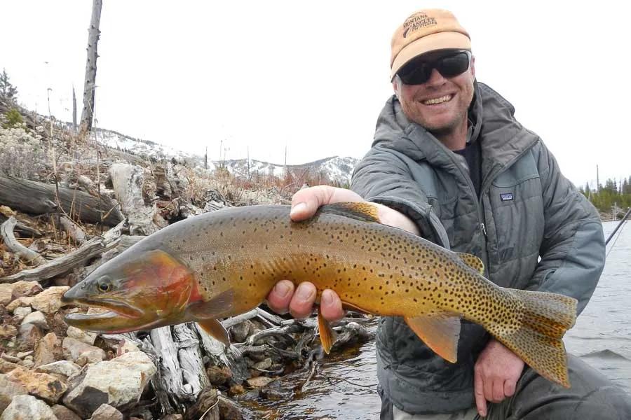 Fly Fishing in Yellowstone National Park Yellowstone National Park Cutthroat Trout