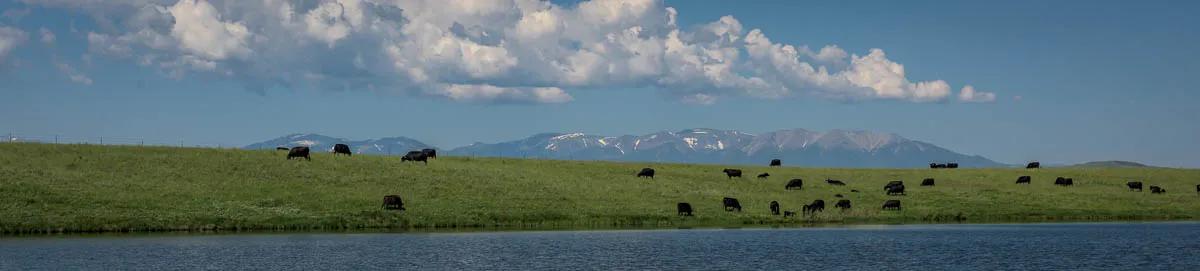 Montana Lakes