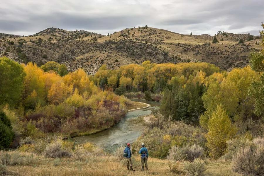 Montana Fly Fishing in September