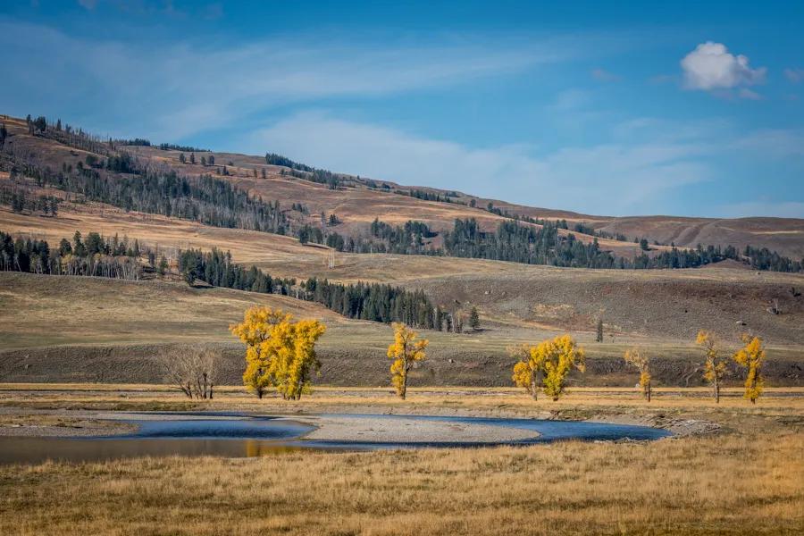 Montana Angler offers wade fishing trips on the Lamar River in Yellowstone National Park