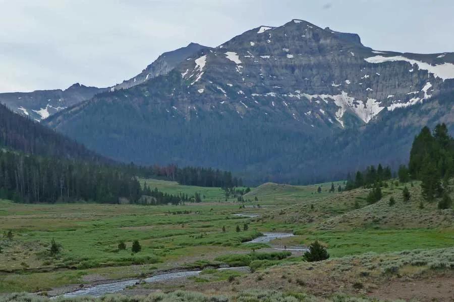 Montana Angler offers guided trips on Slough Creek in Yellowstone National Park