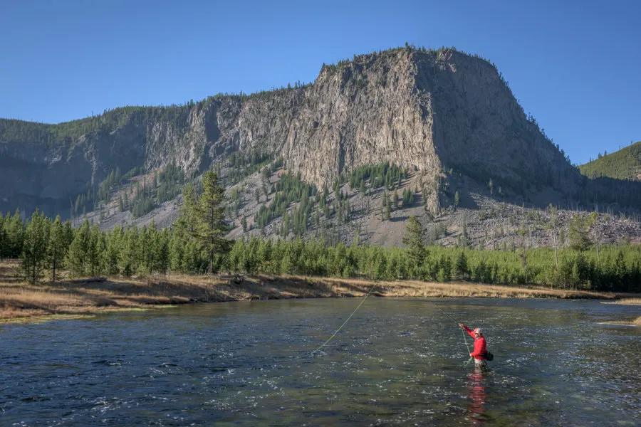 Montana Angler offers guided fishing trips on the Madison River in Yellowstone National Park