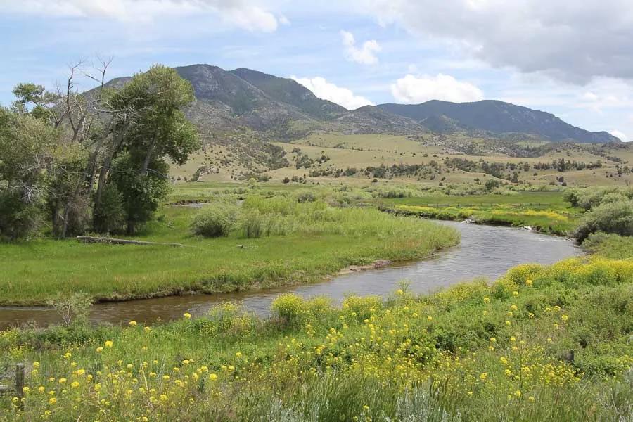 Fly Fishing the Shields River in Montana