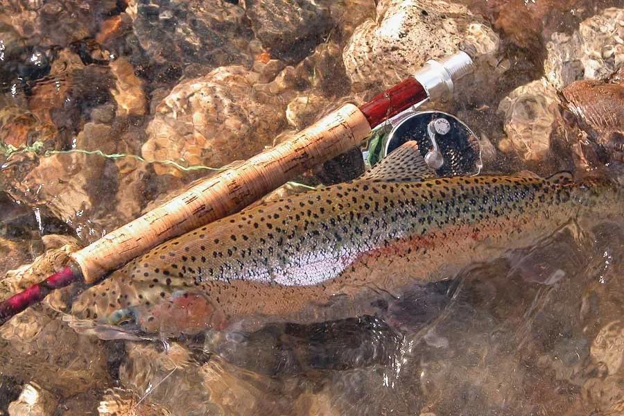 Fly Fishing the Swan River in Montana