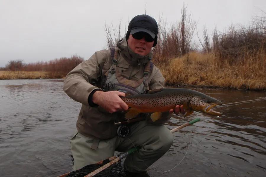 Nice Clark Fork Brown Trout