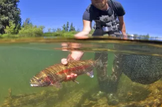 guide yellowstone national park fly fishing rainbow trout