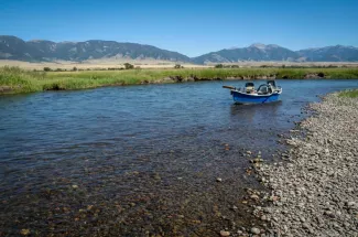 river montana fly fishing yellowstone park guided trip