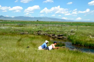 stream river fly fishing montana guide guided trip yellowstone national park