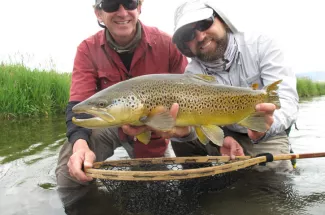 brown trout fly fishing netted yellowstone national park