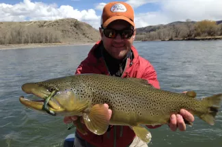 huge brown trout fly fishing montana adventure guided trip