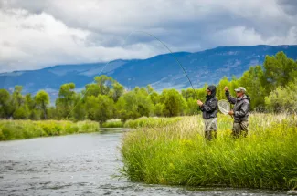 creek stream river fly fishing montana guided trip yellowstone national park