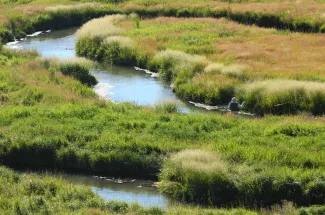 creek fly fishing montana guided trip private waters 