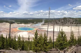 yellowstone national park fly fishing montana angler guided trip