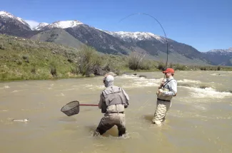 netted trout fly fishing montana guided trip