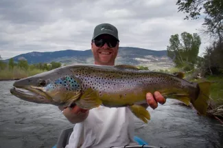 huge brown trout montana fly fishing guided trip