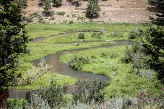 stream creek montana guided trip private water fly fishing adventure