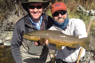 huge brown trout guided trip fly fishing montana