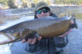 winter brown trout guided trip fly fishing montana angler