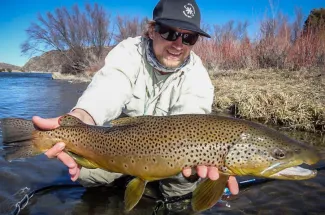 lunker brown trout catch and release fly fishing montana guided