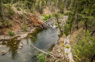 back country fly fishing montana guided trip 