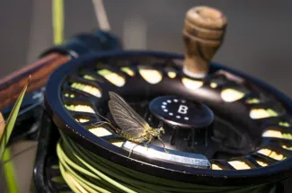 fly reel fly fishing hatch montana