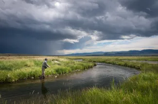 montana spring creek fly fishing technical fishing guided trip