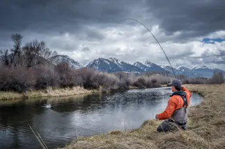 fall montana fly fishing hook up brown trout rainbow trout brook trout