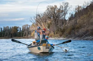 brown trout rod bent fly fishing montana adventure