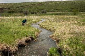 spot and stalk montana guided trip fly fishing