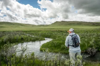 small stream creek fly fishing montana adventure