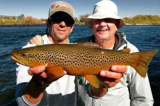 brown trout montana adventure fly fishing guided trip fishing