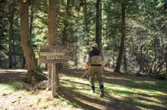 fly fishing montana guided trip brown trout