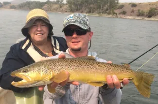 big montana brown trout guided fly fishing trip montana angler