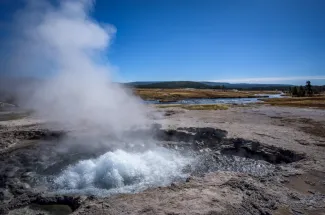 geyser yellowstone national park fly fishing montana