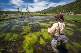 fishing YNP