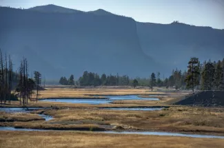 guided fall fishing trip in Yellowstone Park