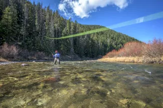 fly fishing Yellowstone National Park